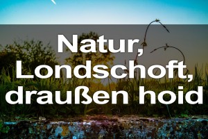 Natur, Londschoft, draußn hoid